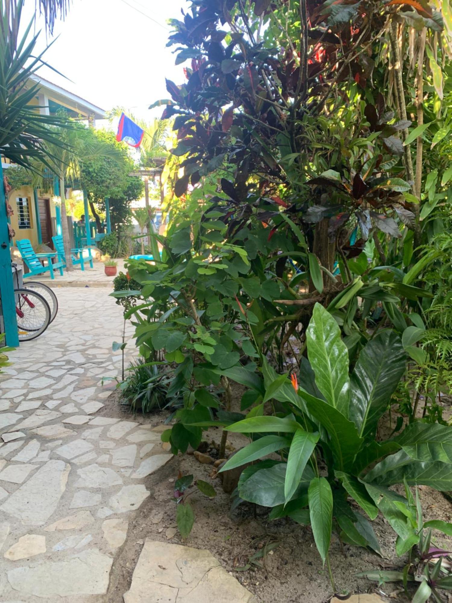 All Seasons Belize Hopkins Exterior photo