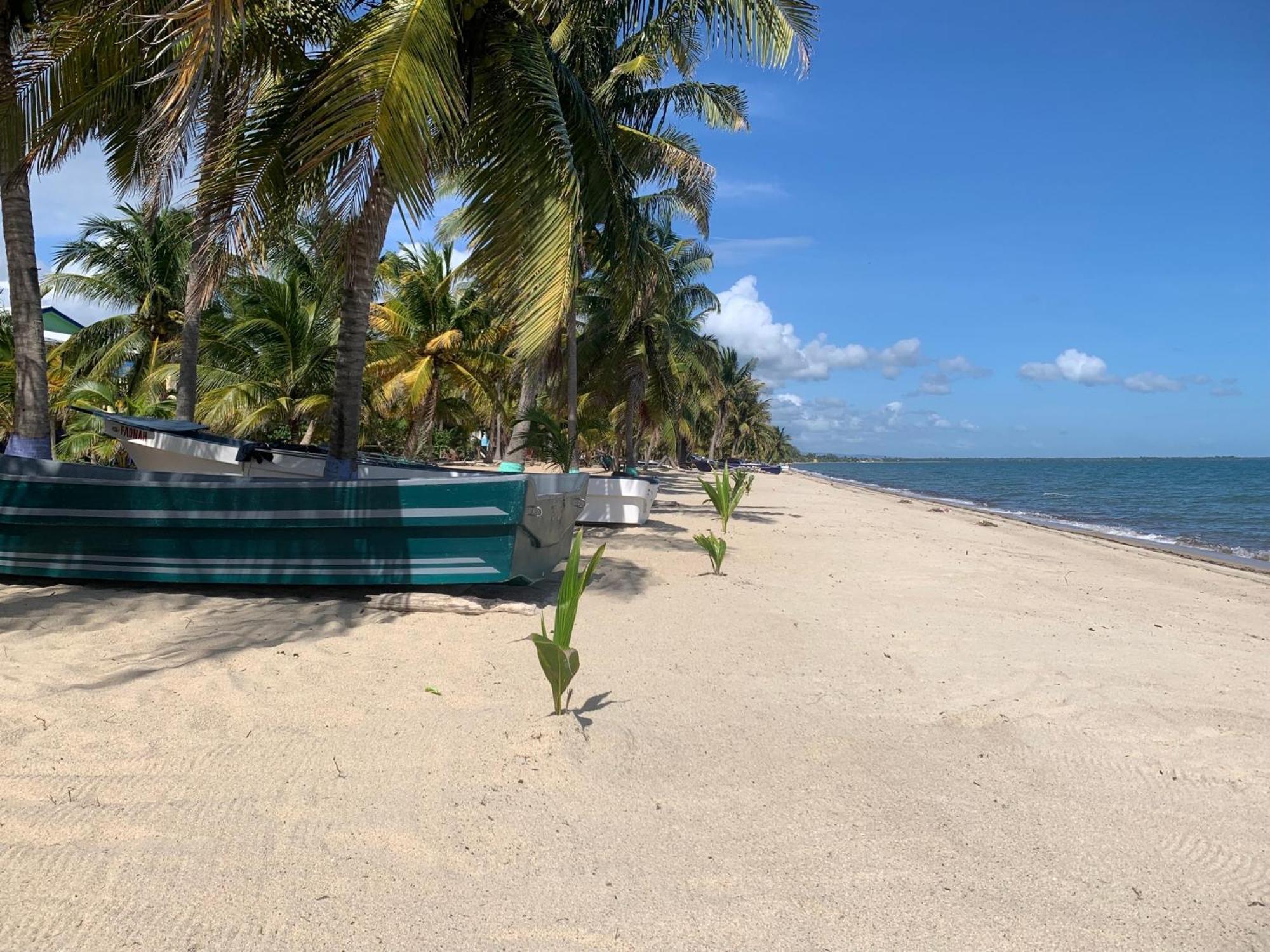 All Seasons Belize Hopkins Exterior photo